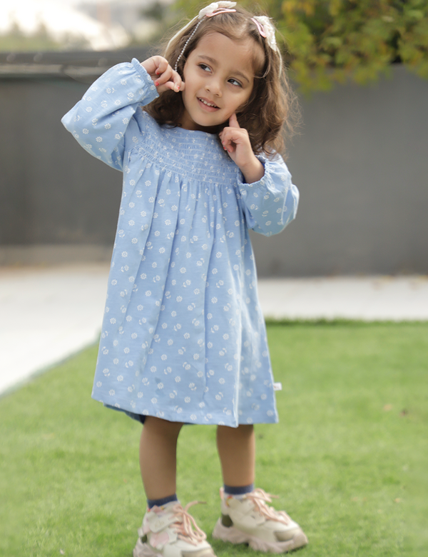 Daisy Bloom Chambray Dress  with Panty