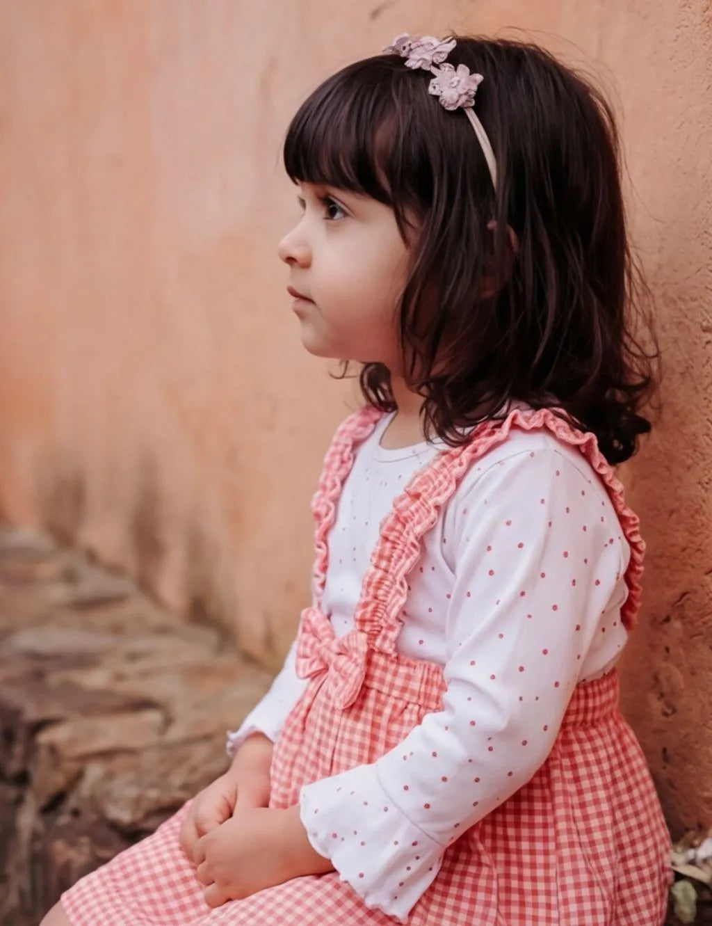 Little Berry Gingham Frock Set