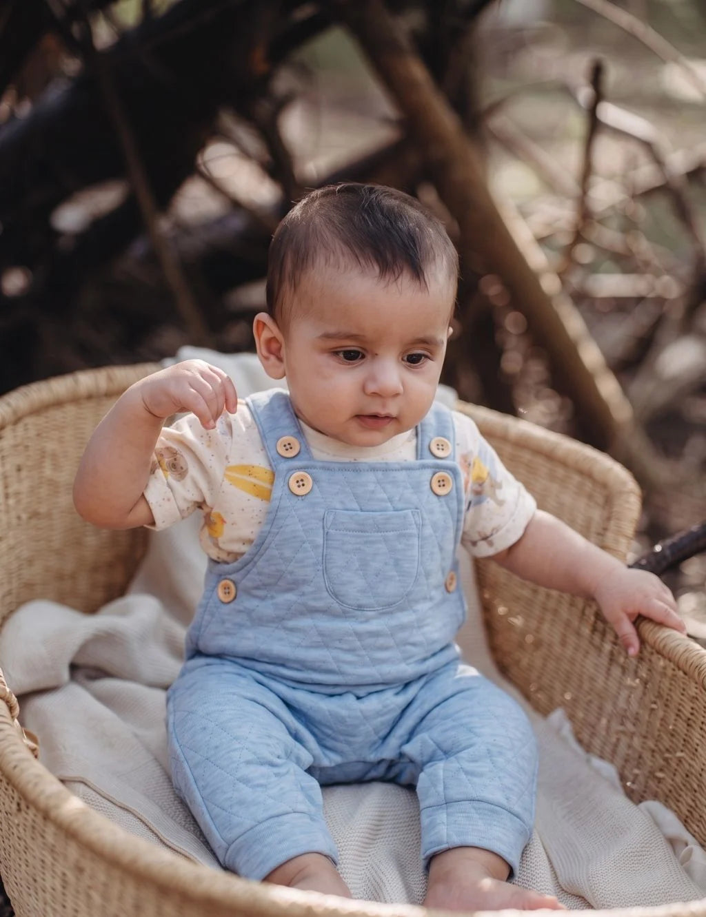 Organic Cotton Quilted Dungaree Set - Surfing Dogs Print