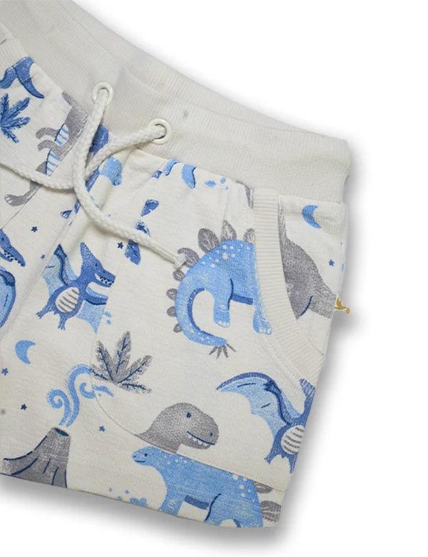 Close-up of 100% organic cotton baby shorts with playful blue and grey dinosaur and volcano print