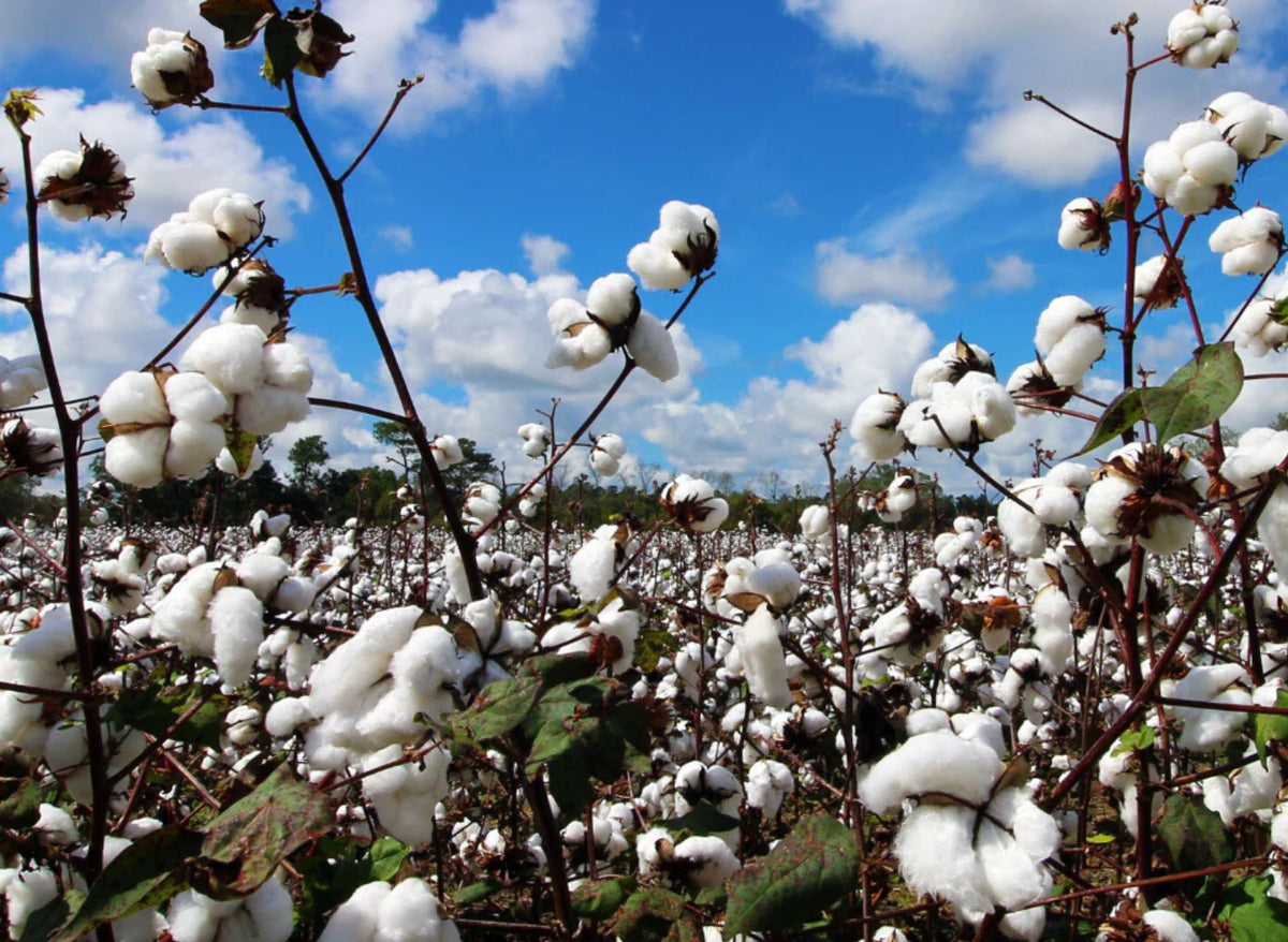 Soft organic babywear fabric