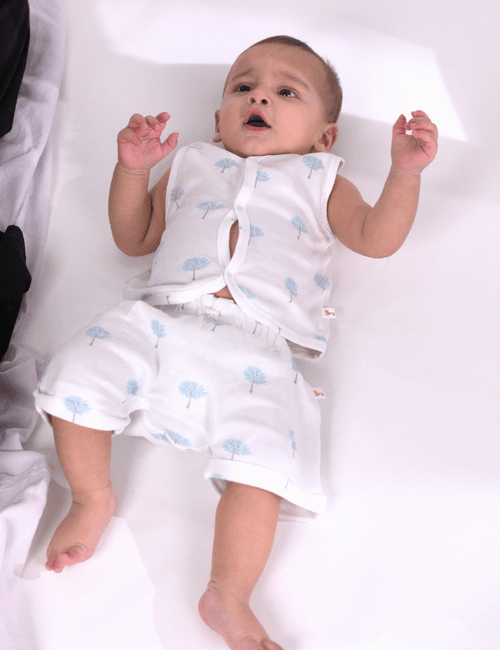Organic Cotton Baby Jabla & Bloomer Set for Boys – Blue Tree Print