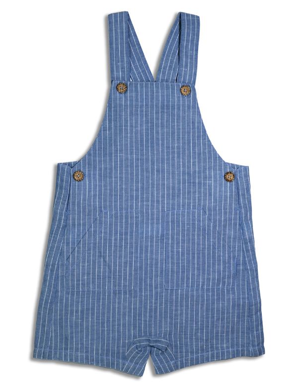 Blue checkered overalls on a white background