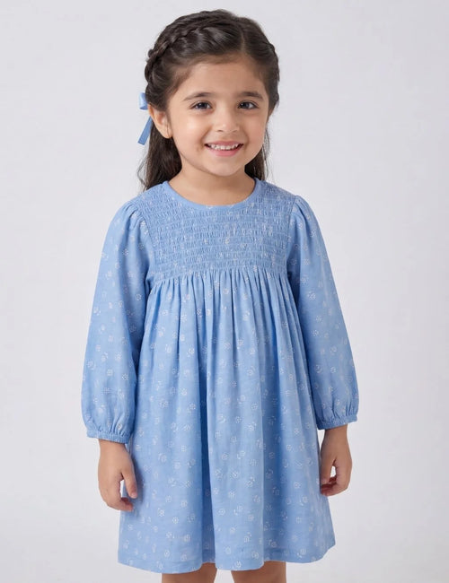 Organic Cotton Daisy Bloom Chambray Dress  with Panty
