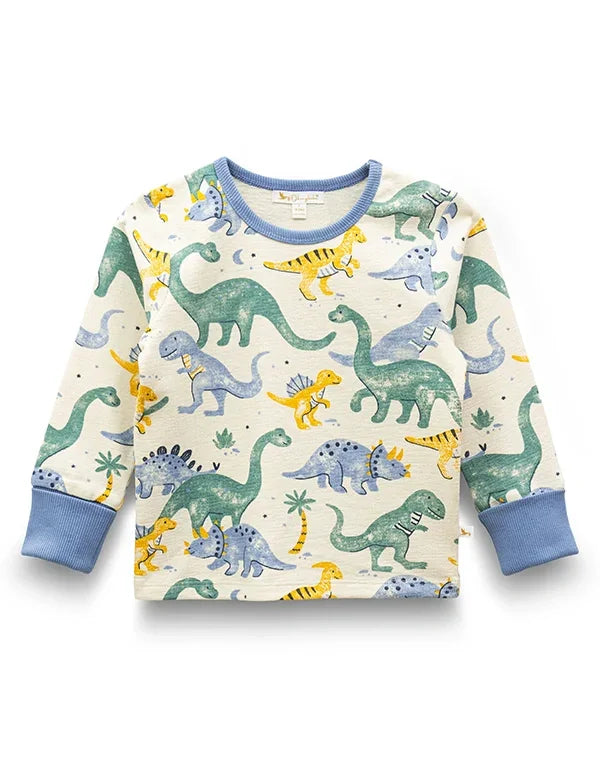 Organic cotton baby sweatshirt with colorful dinosaur print and blue cuffs