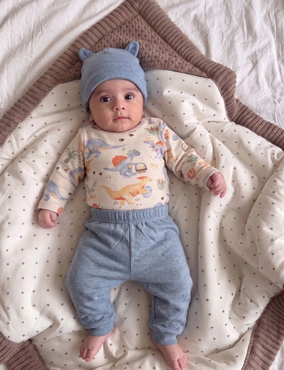 Organic Cotton 3-Piece Bodysuit Set – Easter Dina Dash Print