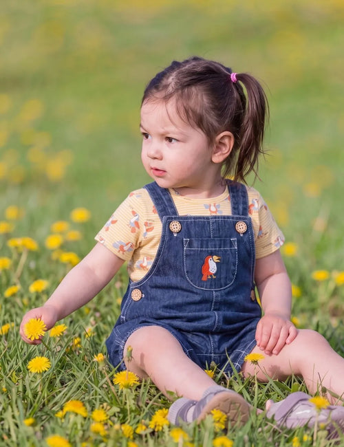 Organic Cotton Kids Denim Overall Set