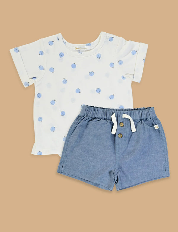 Organic Cotton Top with Shorts Set - ohmybebe