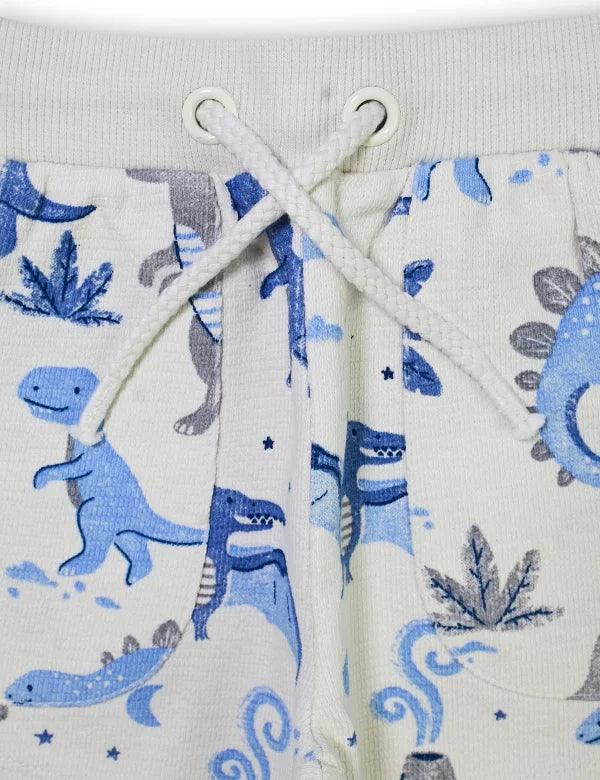 Close-up of organic cotton baby shorts with blue dinosaur print and white drawstring waistband