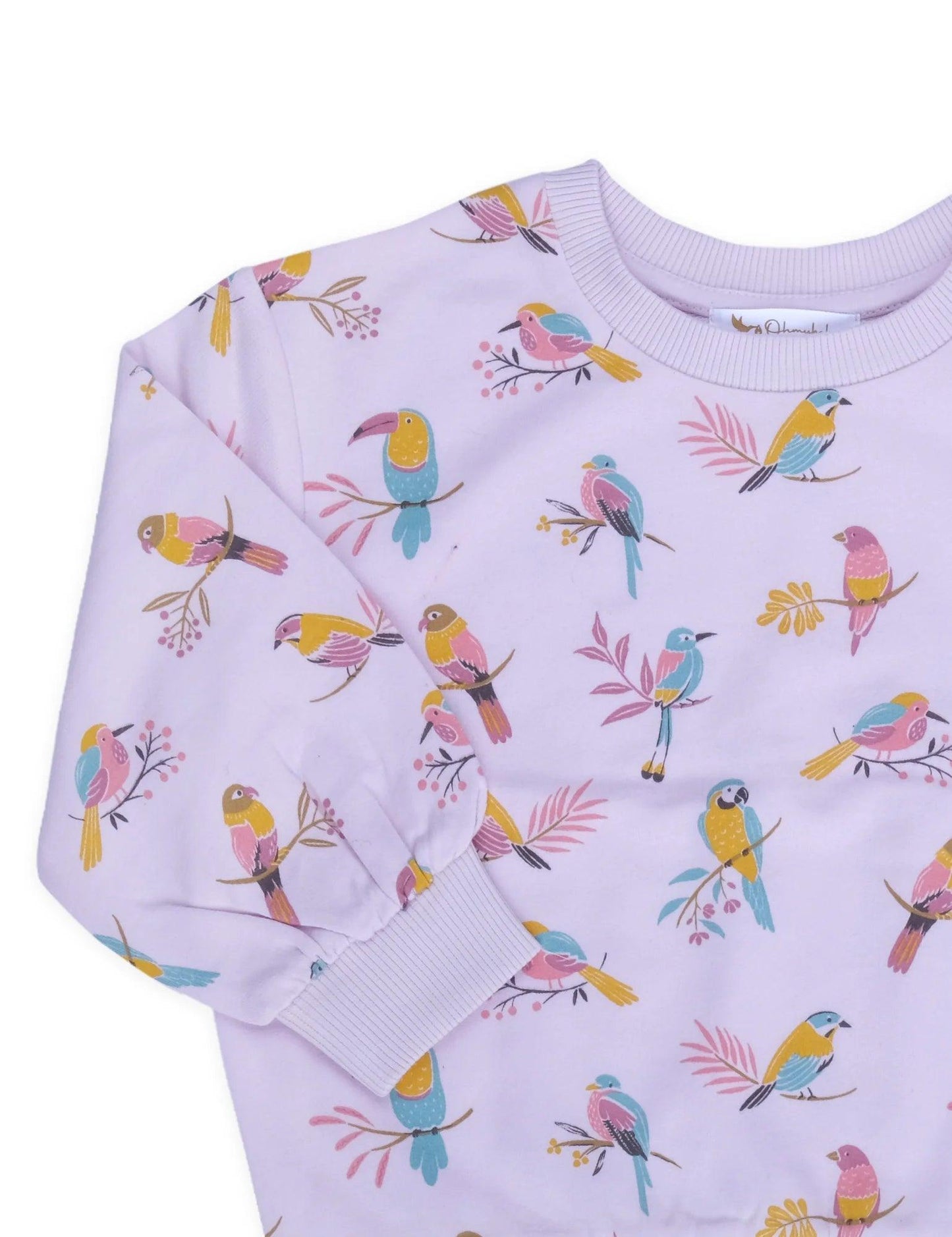 Organic cotton baby sweatshirt with colorful bird and branch print in pastel colors
