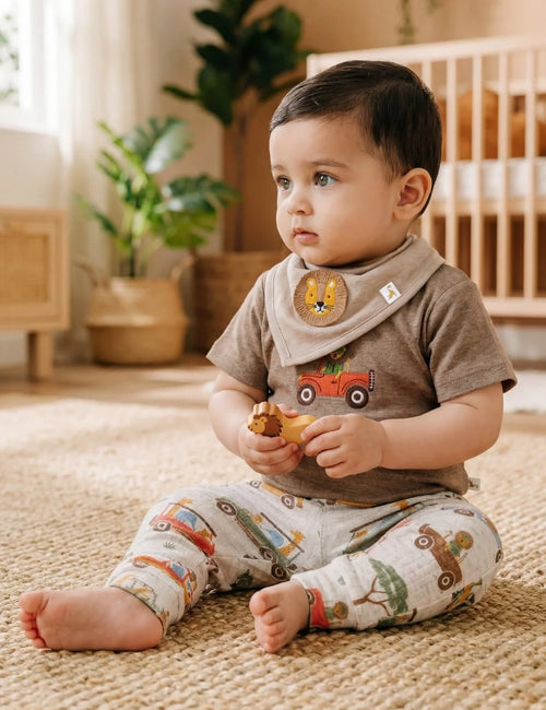 Organic Cotton Gentle Lion Baby Set